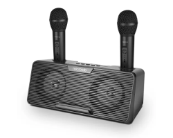 Microlab KTV100 Wireless Mini Karaoke Speaker