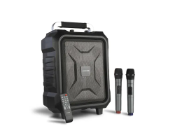 Microlab TL20 Stylish Portable Trolley Speaker