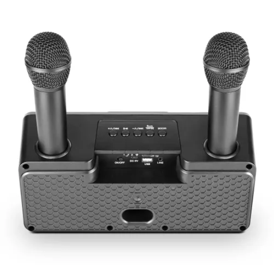 Microlab KTV100 Wireless Mini Karaoke Speaker