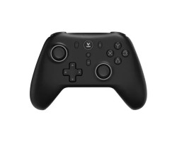 Rapoo V600SE Dual Mode Wireless Gamepad