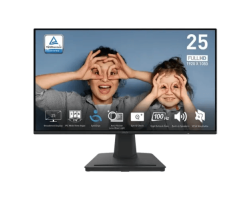 MSI PRO MP252 24.5" 100Hz IPS FHD Monitor